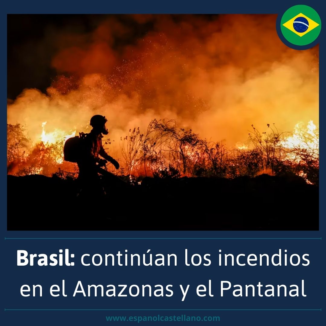 Brasil: continúan los incendios en el Amazonas y el Pantanal