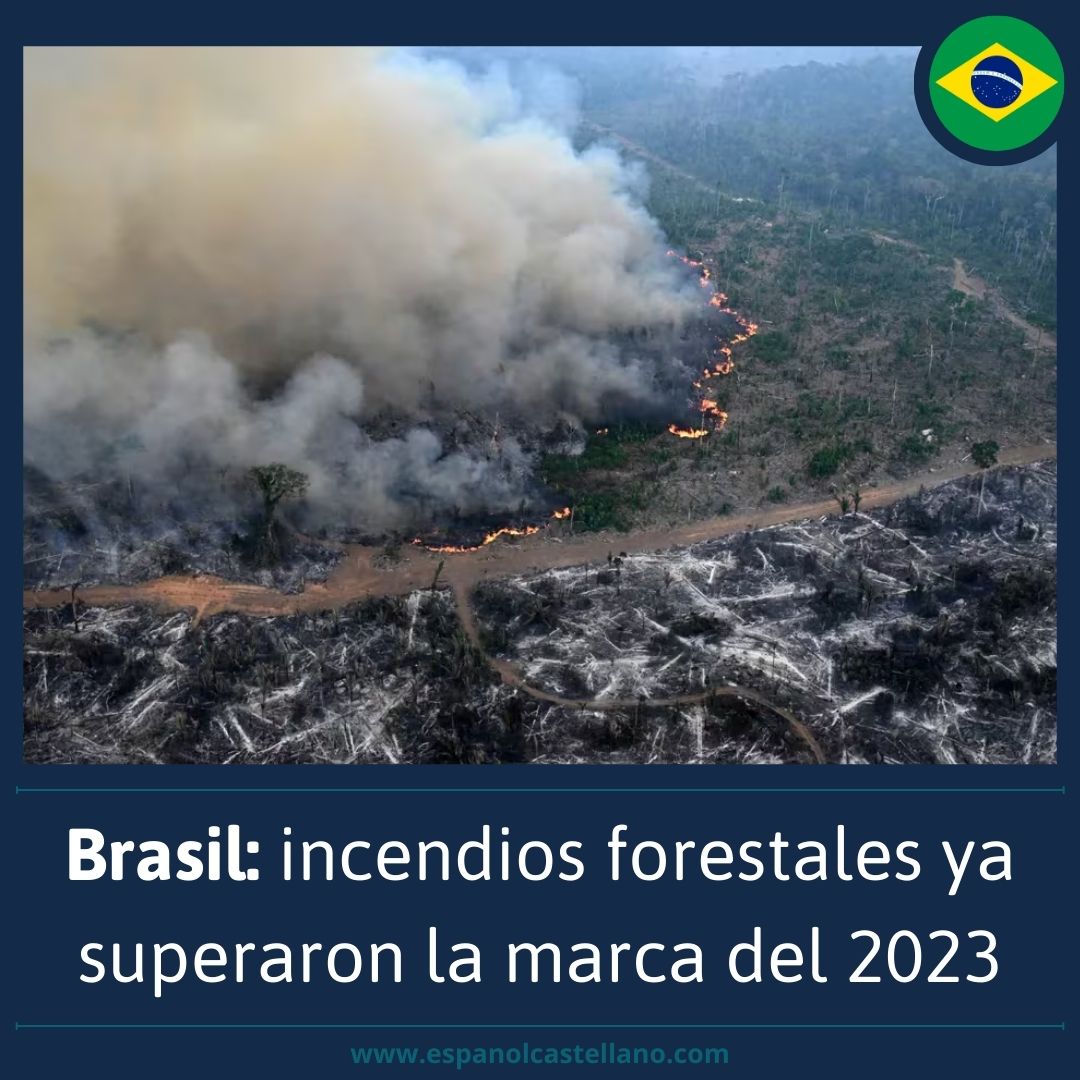 Brasil: incendios forestales ya superaron la marca del 2023