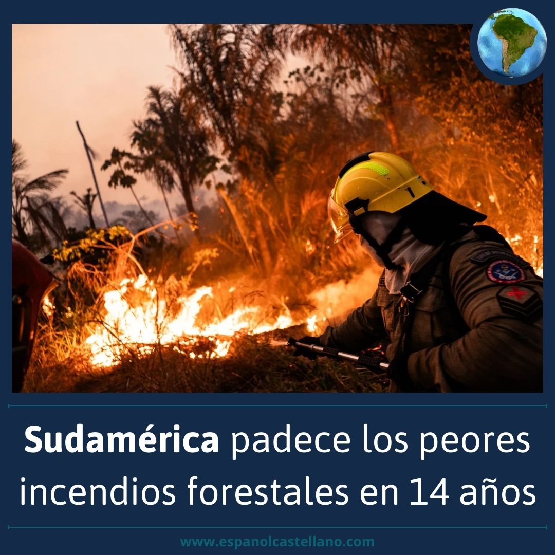 Sudamérica padece los peores incendios forestales en 14 años